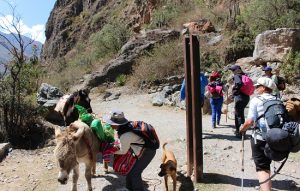 30 daagse Rondreis Peru